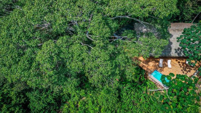 Lapa Rios Lodge By Boeena Пуэрто-Хименес Номер фото