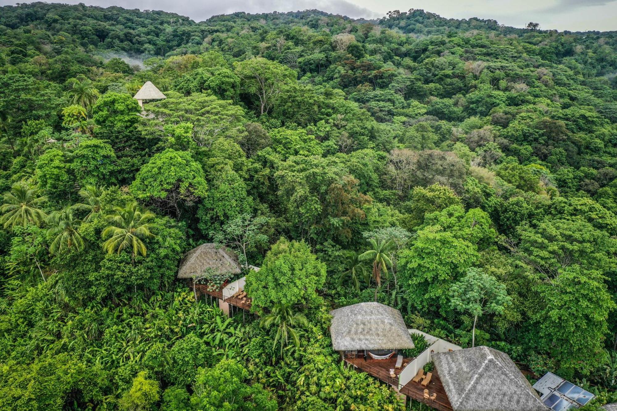 Lapa Rios Lodge By Boeena Пуэрто-Хименес Экстерьер фото