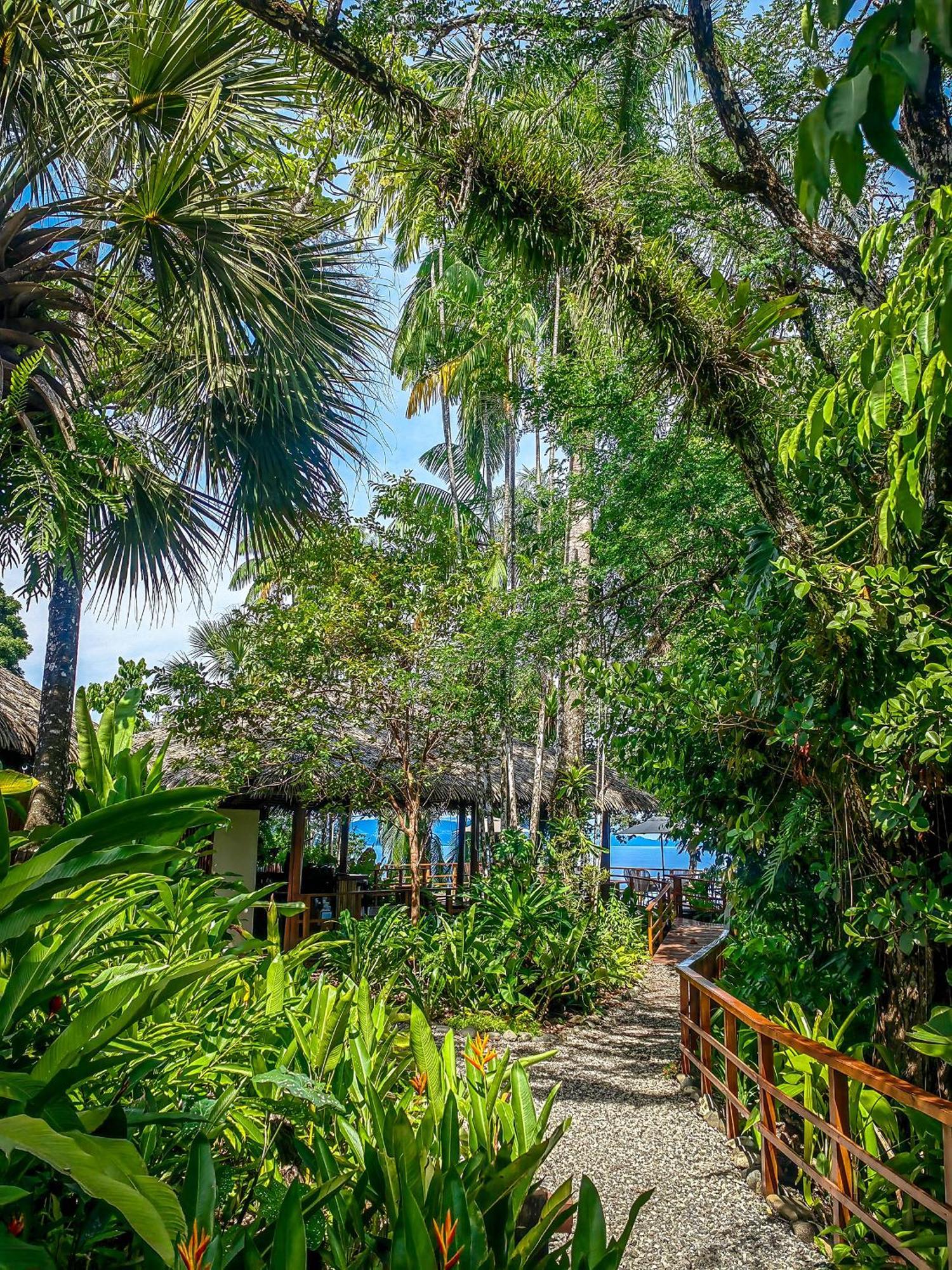 Lapa Rios Lodge By Boeena Пуэрто-Хименес Экстерьер фото