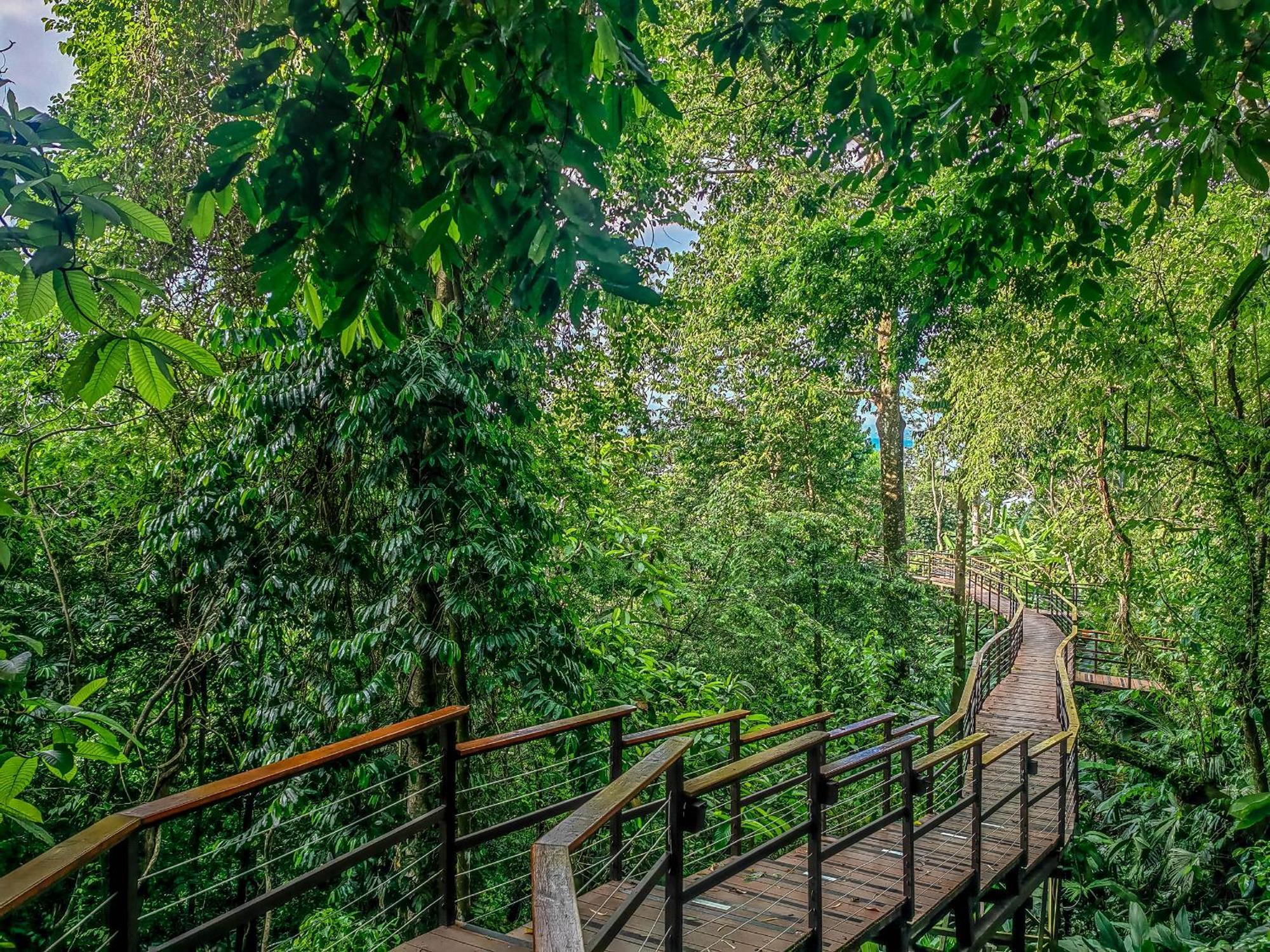 Lapa Rios Lodge By Boeena Пуэрто-Хименес Экстерьер фото