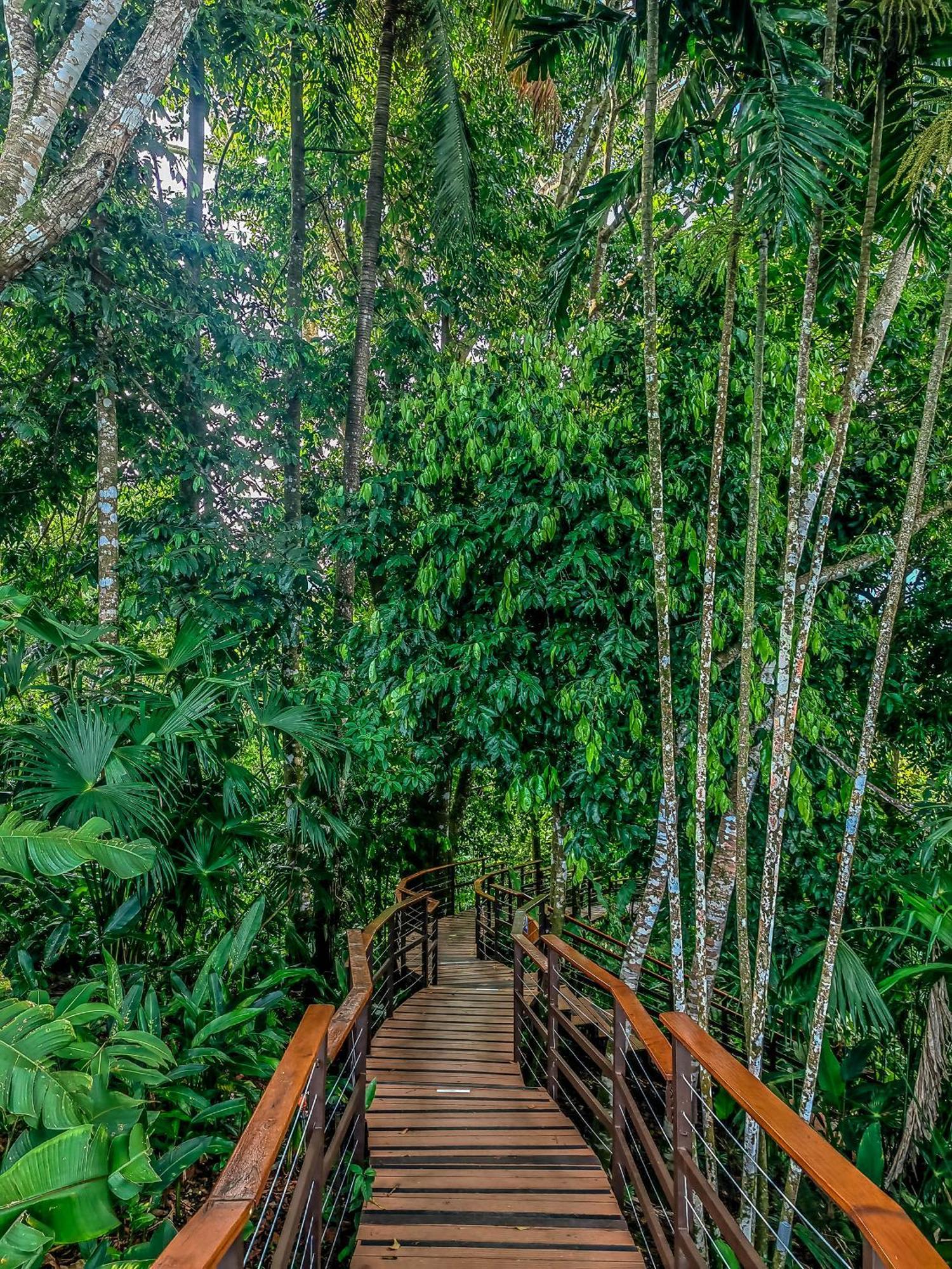 Lapa Rios Lodge By Boeena Пуэрто-Хименес Экстерьер фото